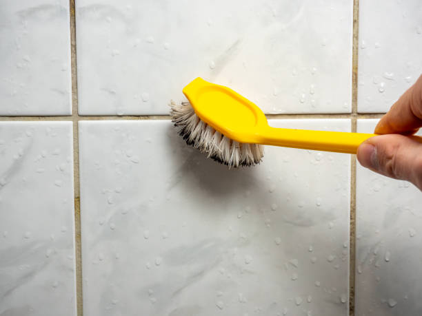 Mold Removal and Inspection in Wyandotte, MI