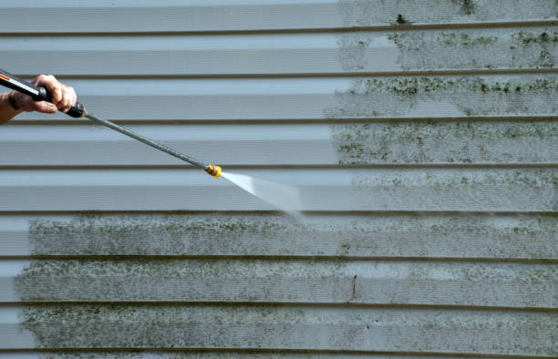 Mold Testing and Removal in Wyandotte, MI