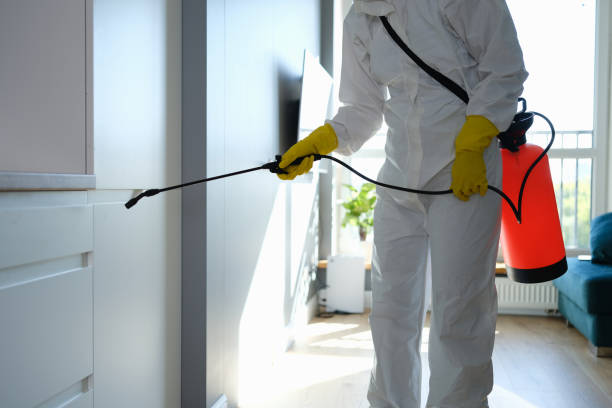 Best Affordable Mold Removal  in Wyandotte, MI