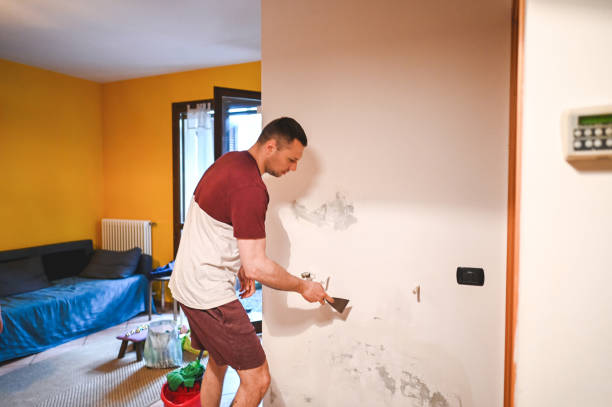 Best Mold Removal and Inspection  in Wyandotte, MI